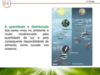 E3E4
2ª Parte
A quantidade e distribuição
dos seres vivos no ambiente é
muito condicionada pela
quantidade de luz e pela
consequente disponibilidade de
alimento, como sucede nos
oceanos.
Fitoplâncton
Cavala
Alforreca
Tubarão
Lula
Peixe-lanterna
Zooplâncton
 