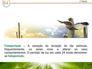 E3E4
2ª Parte
Fotoperíodo – A variação da duração do dia estimula,
frequentemente, os seres vivos a alterar os seus
comportamentos. O período de luz em cada 24 horas denomina-
se fotoperíodo.
 