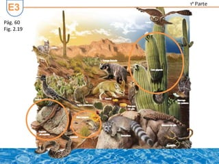 E3
Pág. 60
Fig. 2.19
1ª Parte
 