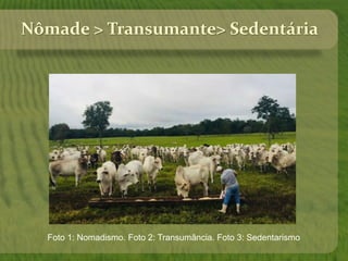 Nômade > Transumante> Sedentária
Foto 1: Nomadismo. Foto 2: Transumância. Foto 3: Sedentarismo
 