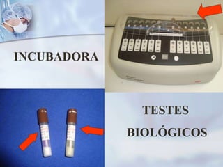 INCUBADORA
TESTES
BIOLÓGICOS
 