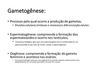 Gametogênese:
• Processo	pelo	qual	ocorre	a	produção	de	gametas;
• Divisões	celulares	(mitoses	e	meioses)	e	diferenciação	celular;
• Espermatogênese:	compreende	a	formação	dos	
espermatozoides	e	ocorre	nos	testículos;
• O	processo	fisiológico	 pelo	qual	uma	espermatogônia (2n)	é	transformada	em	um	
espermatozoide	(n)	por	meio	de	mitose,	meiose	e	espermiogênese.
• Oogênese:	compreende	a	formação	do	gameta	
feminino	e	acontece	nos	ovários.	
• O	processo	fisiológico	pelo	qual	uma	oogônia (2n)	é	transformada	em	oócito primário	(n)	e	
sequentemente	 em	um	oócito secundário	(n)	e	por	fim	o	óvulo.
 