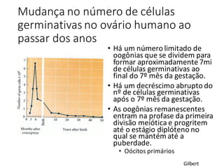 Mudança	no	número	de	células	
germinativas	no	ovário	humano	ao	
passar	dos	anos
• Há	um	número	limitado	de	
oogônias que	se	dividem	para	
formar	aproximadamente	7mi	
de	células	germinativas	ao	
final	do	7º	mês	da	gestação.
• Há	um	decréscimo	abrupto	do	
nº	de	células	germinativas	
após	o	7º	mês	da	gestação.
• As	oogônias remanescentes	
entram	na	profase da	primeira	
divisão	meiótica	e	progritem
até	o	estágio	diplóteno	no	
qual	se	mantém	até	a	
puberdade.
• Oócitos primários
Gilbert
 