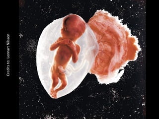 Creditsto:	LennartNilsson
 