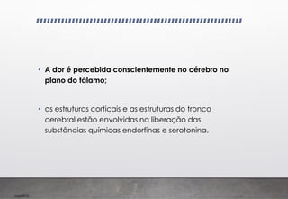 Imp039.00
• A dor é percebida conscientemente no cérebro no
plano do tálamo;
• as estruturas corticais e as estruturas do tronco
cerebral estão envolvidas na liberação das
substâncias químicas endorfinas e serotonina.
 