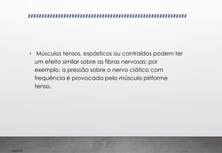 Imp039.00
• Músculos tensos, espásticos ou contraídos podem ter
um efeito similar sobre as fibras nervosas; por
exemplo, a pressão sobre o nervo ciático com
frequência é provocada pelo músculo piriforme
tenso.
 