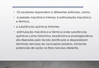 Imp039.00
• Os recetores respondem a diferentes estímulos, como:
• à pressão mecânica intensa; à estimulação mecânica
e térmica,
• a substâncias químicas irritantes,
• estimulação mecânica e térmica onde substâncias
químicas como histamina, bradicinina e prostaglandinas
são liberadas pelo tecido danificado e despolarizam
terminais nervosos do nociceptor próximo, iniciando
potenciais de ação na fibra nervosa aferente.
 