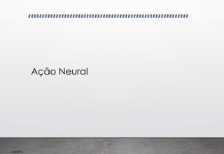 Imp039.00
Ação Neural
 