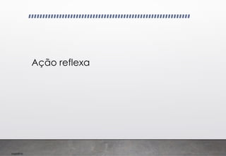 Imp039.00
Ação reflexa
 