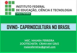 MSC. MAIARA FERREIRA
ZOOTECNISTA CRMV-AM 129/Z
maiaraferreiras@gmail.com
OVINO- CAPRINOCULTURA NO BRASIL
 