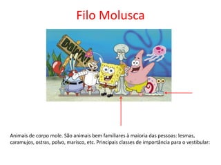 Filo Molusca
Animais de corpo mole. São animais bem familiares à maioria das pessoas: lesmas,
caramujos, ostras, polvo, marisco, etc. Principais classes de importância para o vestibular:
 