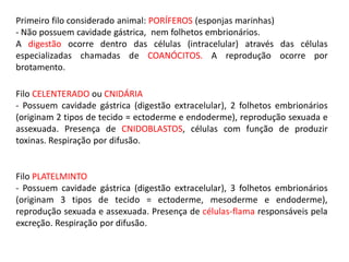 Primeiro filo considerado animal: PORÍFEROS (esponjas marinhas)
- Não possuem cavidade gástrica, nem folhetos embrionários.
A digestão ocorre dentro das células (intracelular) através das células
especializadas chamadas de COANÓCITOS. A reprodução ocorre por
brotamento.
Filo CELENTERADO ou CNIDÁRIA
- Possuem cavidade gástrica (digestão extracelular), 2 folhetos embrionários
(originam 2 tipos de tecido = ectoderme e endoderme), reprodução sexuada e
assexuada. Presença de CNIDOBLASTOS, células com função de produzir
toxinas. Respiração por difusão.
Filo PLATELMINTO
- Possuem cavidade gástrica (digestão extracelular), 3 folhetos embrionários
(originam 3 tipos de tecido = ectoderme, mesoderme e endoderme),
reprodução sexuada e assexuada. Presença de células-flama responsáveis pela
excreção. Respiração por difusão.
 