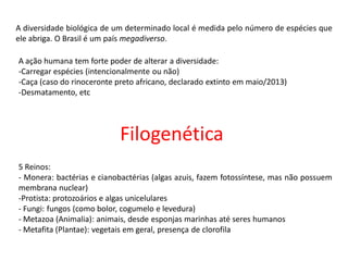 Filogenética
A diversidade biológica de um determinado local é medida pelo número de espécies que
ele abriga. O Brasil é um país megadiverso.
A ação humana tem forte poder de alterar a diversidade:
-Carregar espécies (intencionalmente ou não)
-Caça (caso do rinoceronte preto africano, declarado extinto em maio/2013)
-Desmatamento, etc
5 Reinos:
- Monera: bactérias e cianobactérias (algas azuis, fazem fotossíntese, mas não possuem
membrana nuclear)
-Protista: protozoários e algas unicelulares
- Fungi: fungos (como bolor, cogumelo e levedura)
- Metazoa (Animalia): animais, desde esponjas marinhas até seres humanos
- Metafita (Plantae): vegetais em geral, presença de clorofila
 