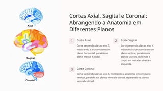 Cortes Axial, Sagital e Coronal:
Abrangendo a Anatomia em
Diferentes Planos
1 Corte Axial
Corte perpendicular ao eixo Z,
mostrando a anatomia em um
plano horizontal, paralelo ao
plano cranial e podal.
2 Corte Sagital
Corte perpendicular ao eixo Y,
mostrando a anatomia em um
plano vertical, paralelo aos
planos laterais, dividindo o
corpo em metades direita e
esquerda.
3 Corte Coronal
Corte perpendicular ao eixo X, mostrando a anatomia em um plano
vertical, paralelo aos planos ventral e dorsal, separando os planos
ventral e dorsal.
 