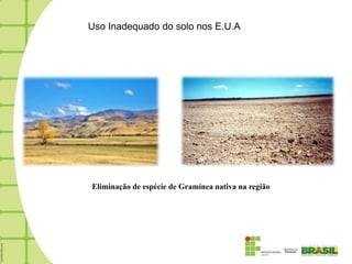 Uso Inadequado do solo nos E.U.A




Eliminação de espécie de Gramínea nativa na região
 