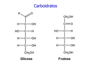 Carboidratos
 