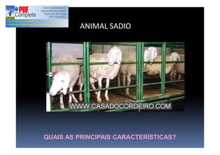 ANIMAL SADIO
QUAIS AS PRINCIPAIS CARACTERÍSTICAS?
 