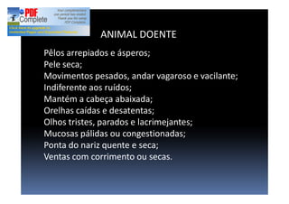 Pêlos arrepiados e ásperos;
Pele seca;
Movimentos pesados, andar vagaroso e vacilante;
Indiferente aos ruídos;
Mantém a cabeça abaixada;
Orelhas caídas e desatentas;
Olhos tristes, parados e lacrimejantes;
Mucosas pálidas ou congestionadas;
Ponta do nariz quente e seca;
Ventas com corrimento ou secas.
ANIMAL DOENTE
 