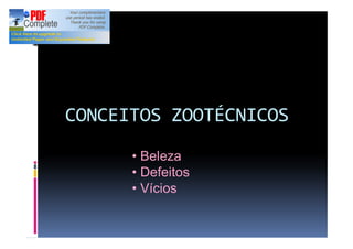 CONCEITOS ZOOTÉCNICOS
Beleza
Defeitos
Vícios
 