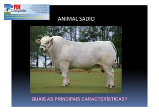 ANIMAL SADIO
QUAIS AS PRINCIPAIS CARACTERÍSTICAS?
 