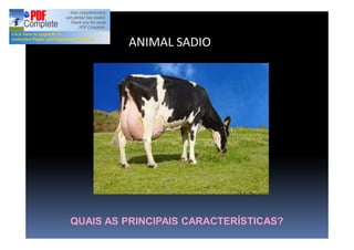 ANIMAL SADIO
QUAIS AS PRINCIPAIS CARACTERÍSTICAS?
 