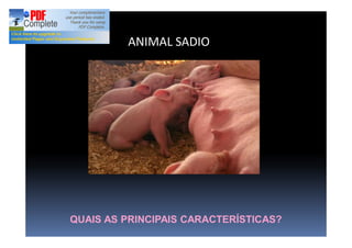 ANIMAL SADIO
QUAIS AS PRINCIPAIS CARACTERÍSTICAS?
 