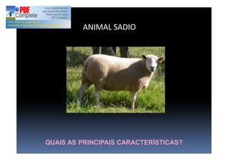 ANIMAL SADIO
QUAIS AS PRINCIPAIS CARACTERÍSTICAS?
 