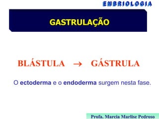 GASTRULAÇÃO

BLÁSTULA 

GÁSTRULA

O ectoderma e o endoderma surgem nesta fase.

Profa. Marcia Marlise Pedroso

 