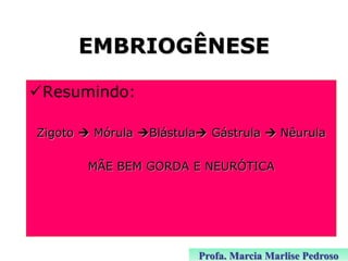 EMBRIOGÊNESE
Resumindo:
Zigoto  Mórula Blástula Gástrula  Nêurula
MÃE BEM GORDA E NEURÓTICA

Profa. Marcia Marlise Pedroso

 