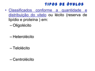 • Classificados conforme a quantidade e
distribuição do vitelo ou lécito (reserva de
lipídio e proteína ) em:
– Oligolécito
– Heterolécito
– Telolécito
– Centrolécito

 