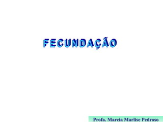 Profa. Marcia Marlise Pedroso

 