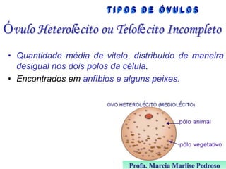 Óvulo Heterolécito ou Telolécito Incompleto
• Quantidade média de vitelo, distribuído de maneira
desigual nos dois polos da célula.
• Encontrados em anfíbios e alguns peixes.

Profa. Marcia Marlise Pedroso

 