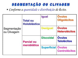 • Conforme a quantidade e distribuição de lécito.
Igual

Óvulos
Oligolécitos

Desigual

Óvulos
Heterolécitos

Discoidal

Óvulos
Telolécitos

Total ou
Holoblástica

Segmentação
ou Clivagem

Parcial ou
meroblática

Superficial Óvulos
Centrolécitos

 