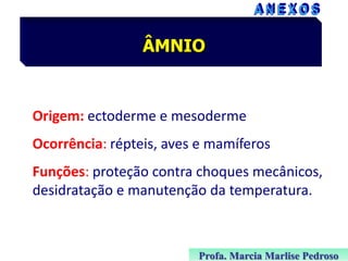 ÂMNIO

Origem: ectoderme e mesoderme

Ocorrência: répteis, aves e mamíferos
Funções: proteção contra choques mecânicos,
desidratação e manutenção da temperatura.

Profa. Marcia Marlise Pedroso

 