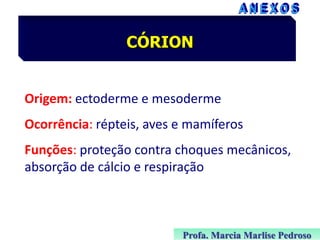 CÓRION

Origem: ectoderme e mesoderme

Ocorrência: répteis, aves e mamíferos
Funções: proteção contra choques mecânicos,
absorção de cálcio e respiração

Profa. Marcia Marlise Pedroso

 