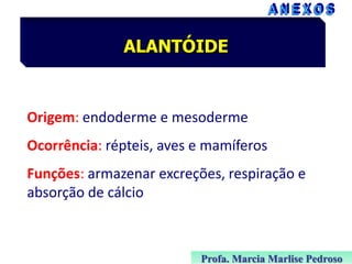 ALANTÓIDE

Origem: endoderme e mesoderme

Ocorrência: répteis, aves e mamíferos
Funções: armazenar excreções, respiração e
absorção de cálcio

Profa. Marcia Marlise Pedroso

 