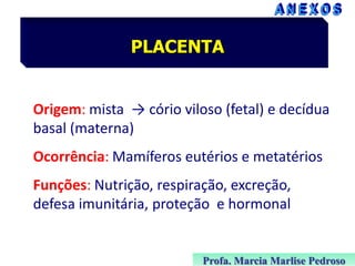 PLACENTA

Origem: mista → cório viloso (fetal) e decídua
basal (materna)
Ocorrência: Mamíferos eutérios e metatérios
Funções: Nutrição, respiração, excreção,
defesa imunitária, proteção e hormonal

Profa. Marcia Marlise Pedroso

 