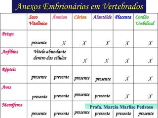 Anexos Embrionários em Vertebrados
Saco
Âmnion
Vitelínico

Córion

Alantóide Placenta Cordão
Umbilical

Peixes
presente
Anfíbios

X

Vitelo abundante
dentro das células

X

X

X

X

X

X

X

X

Répteis

presente

presente presente

presente

X

X

presente

presente presente

presente

X

X

Aves
Mamíferos
presente

presente presente

Profa. Marcia Marlise Pedroso

presente

presente

presente

 