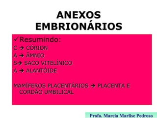 ANEXOS
EMBRIONÁRIOS
Resumindo:
C  CÓRION
A  ÂMNIO
S SACO VITELÍNICO
A  ALANTÓIDE
MAMÍFEROS PLACENTÁRIOS  PLACENTA E
CORDÃO UMBILICAL

Profa. Marcia Marlise Pedroso

 