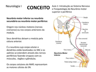 Neurologia I Aula 1: Introdução ao Sistema Nervoso
e Fisiopatologia do Neurônio motor
superior e periférico
Neurônio motor...