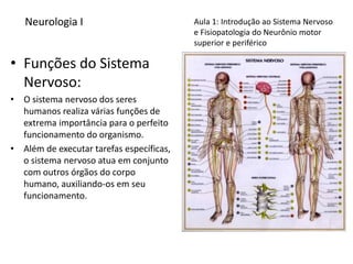 Neurologia I
• Funções do Sistema
Nervoso:
• O sistema nervoso dos seres
humanos realiza várias funções de
extrema importâ...