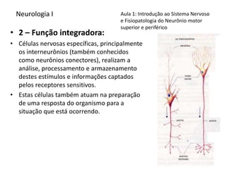 Neurologia I
• 2 – Função integradora:
• Células nervosas específicas, principalmente
os interneurônios (também conhecidos...