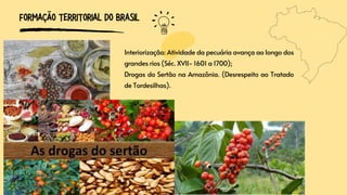 FORMAÇÃO TERRITORIAL DO BRASIL
Interiorização: Atividade da pecuária avança ao longo dos
grandes rios (Séc. XVII- 1601 a 1700);
Drogas do Sertão na Amazônia. (Desrespeito ao Tratado
de Tordesilhas).
 
