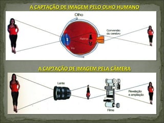 A CAPTAÇÃO DE IMAGEM PELO OLHO HUMANO A CAPTAÇÃO DE IMAGEM PELA CÂMERA 