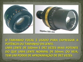 O TAMANHO FOCAL É USADO PARA EXPRESSAR A POTÊNCIA OU TAMANHO DA LENTE. UMA LENTE DE 500mm É DEZ VEZES MAIS POTENTE DO QUE UMA LENTE NORMAL DE 50mm, OU SEJA, TEM UM PODER DE APROXIMAÇÃO DE DEZ VEZES. 