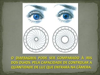 O  DIAFRAGMA  PODE SER COMPARADO À IRIS DOS OLHOS, PELA CAPACIDADE DE CONTROLAR A QUANTIDADE DE LUZ QUE ENTRARÁ NA CÂMERA. 