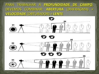 PARA TRABALHAR A  PROFUNDIDADE DE CAMPO , DEVEMOS COMBINAR:  ABERTURA  (DIAFRAGMA) +  VELOCIDADE  (OBTURADOR) +  LENTE 