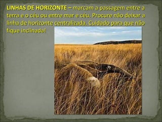 LINHAS DE HORIZONTE –  marcam a passagem entre a terra e o céu ou entre mar e céu. Procure não deixar a linha de horizonte centralizada. Cuidado para que não fique inclinada! 