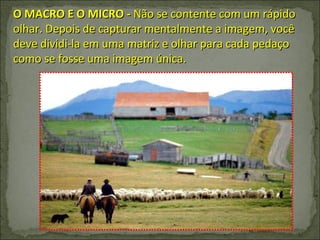 O MACRO E O MICRO -  Não se contente com um rápido olhar. Depois de capturar mentalmente a imagem, você deve dividi-la em uma matriz e olhar para cada pedaço como se fosse uma imagem única. 