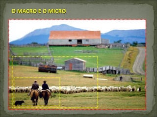 O MACRO E O MICRO  